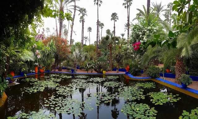 jardin-majorelle-plantas-acuaticas-marrakech-marruecos (20)_Easy-Resize.com